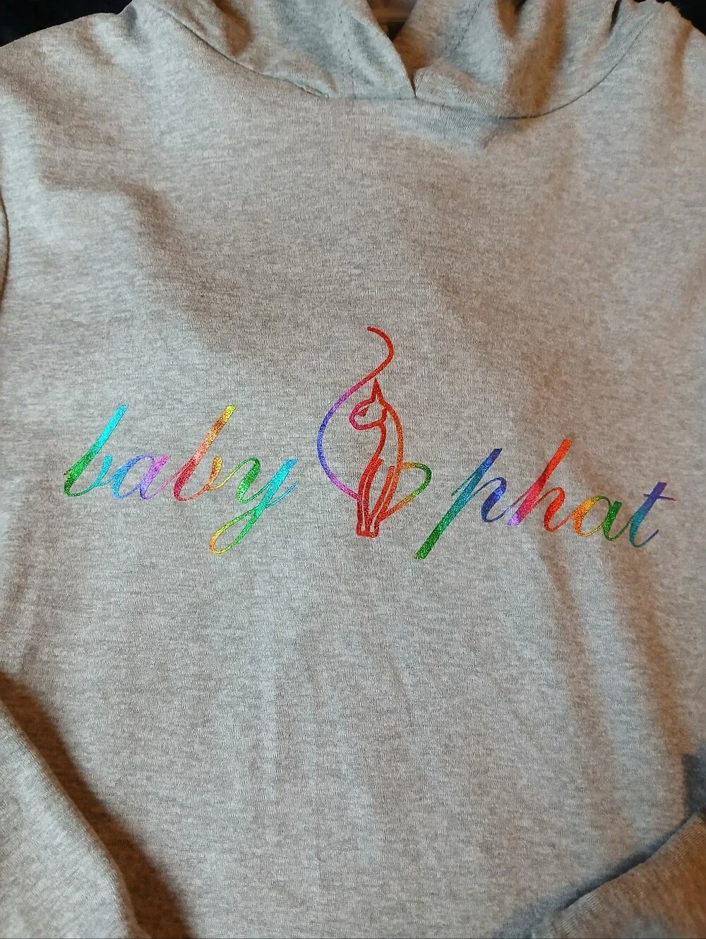Baby Phat Girls NWT Gray Rainbow Logo Hoodie & Pink Zebra Leggings Set Size 5/6